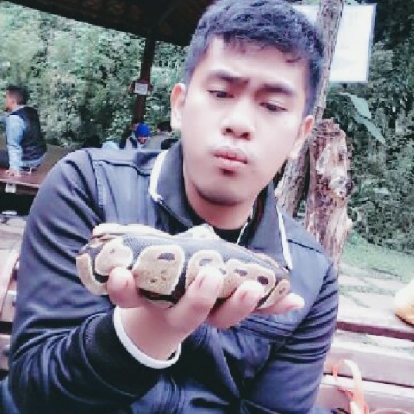 Rengga Singgih
