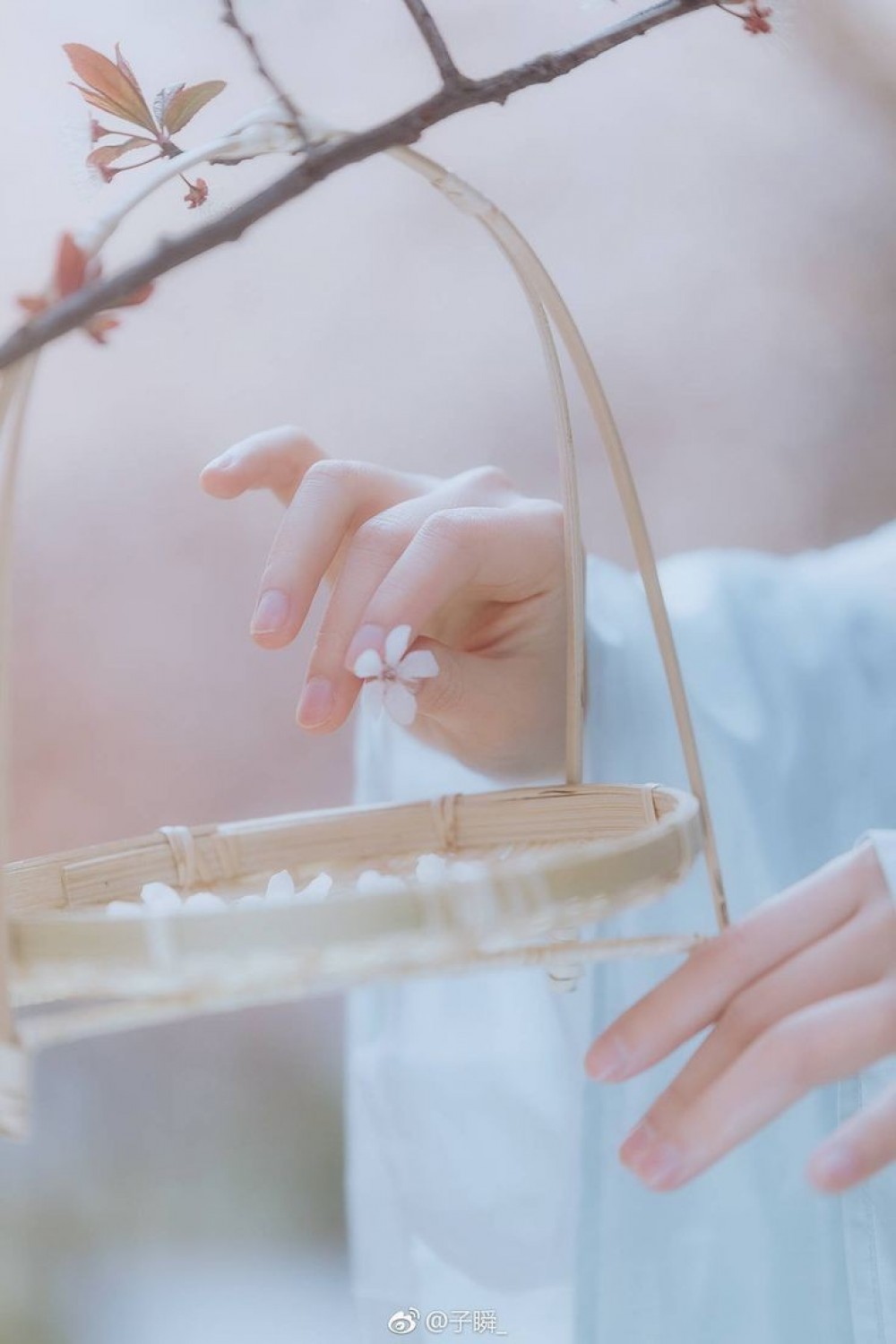 The Legend of Our Blood