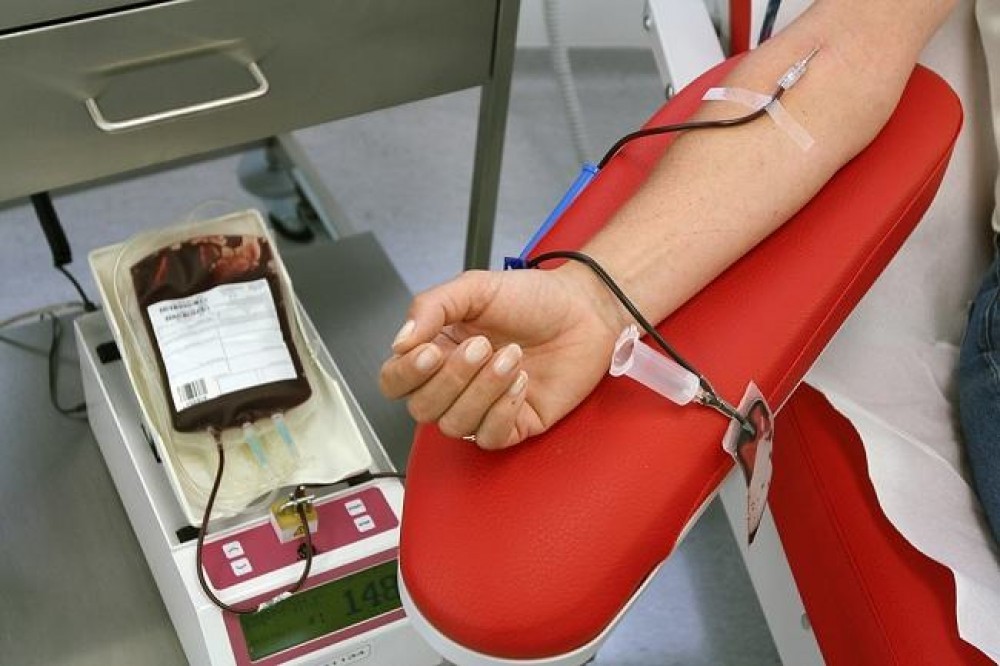 Penipu Donor Darah